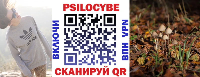 Галлюциногенные грибы Psilocybine cubensis Алупка
